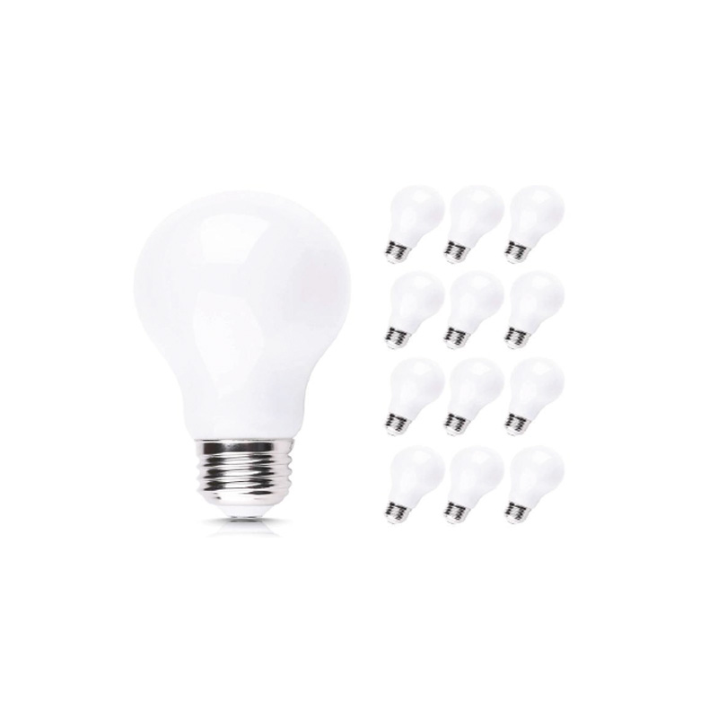 A19 LED bulb