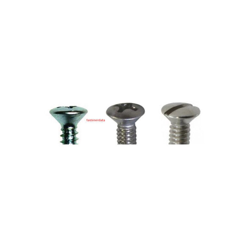 Raised oual head screws